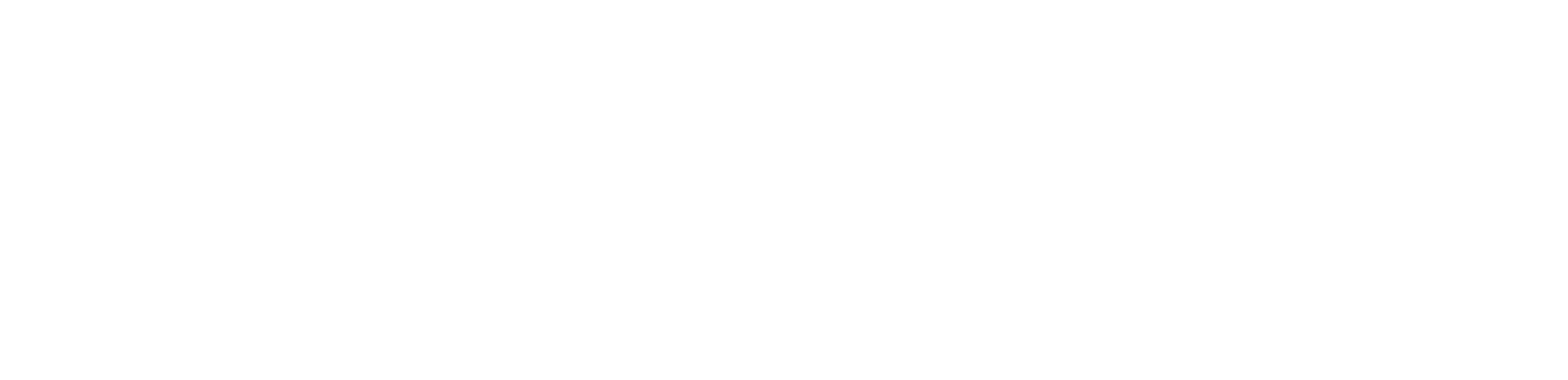 Logo Exactix